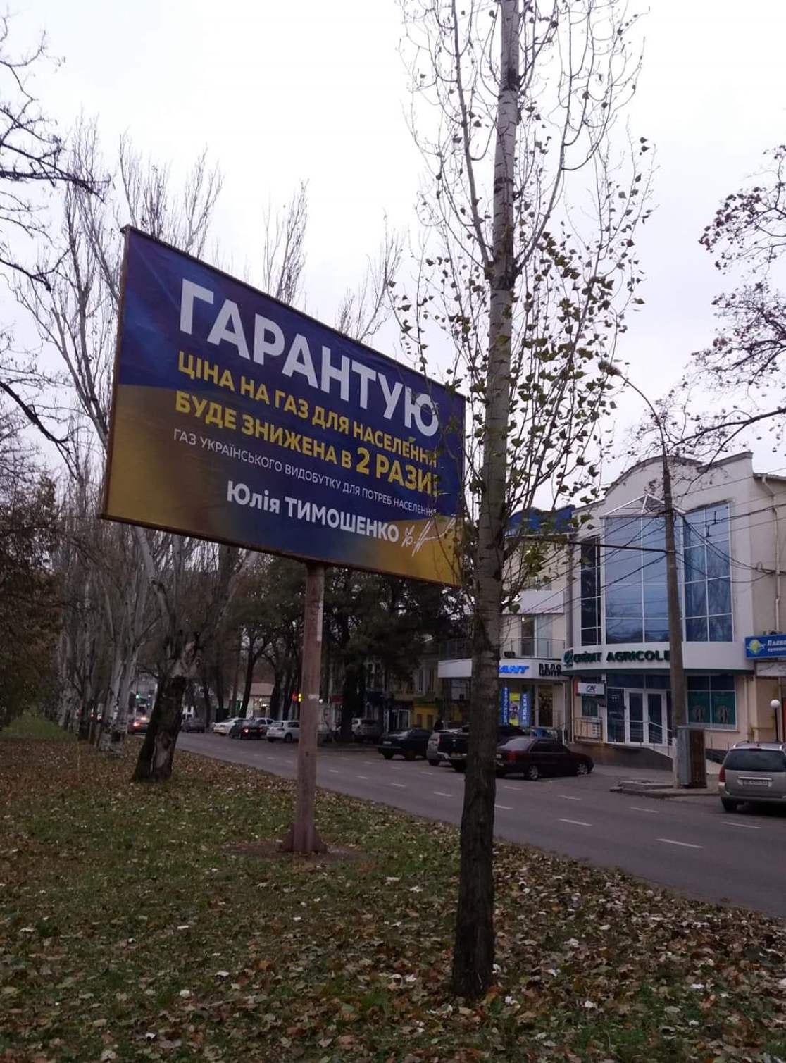 21 11 Mykolaiv bilbord Timoshenko