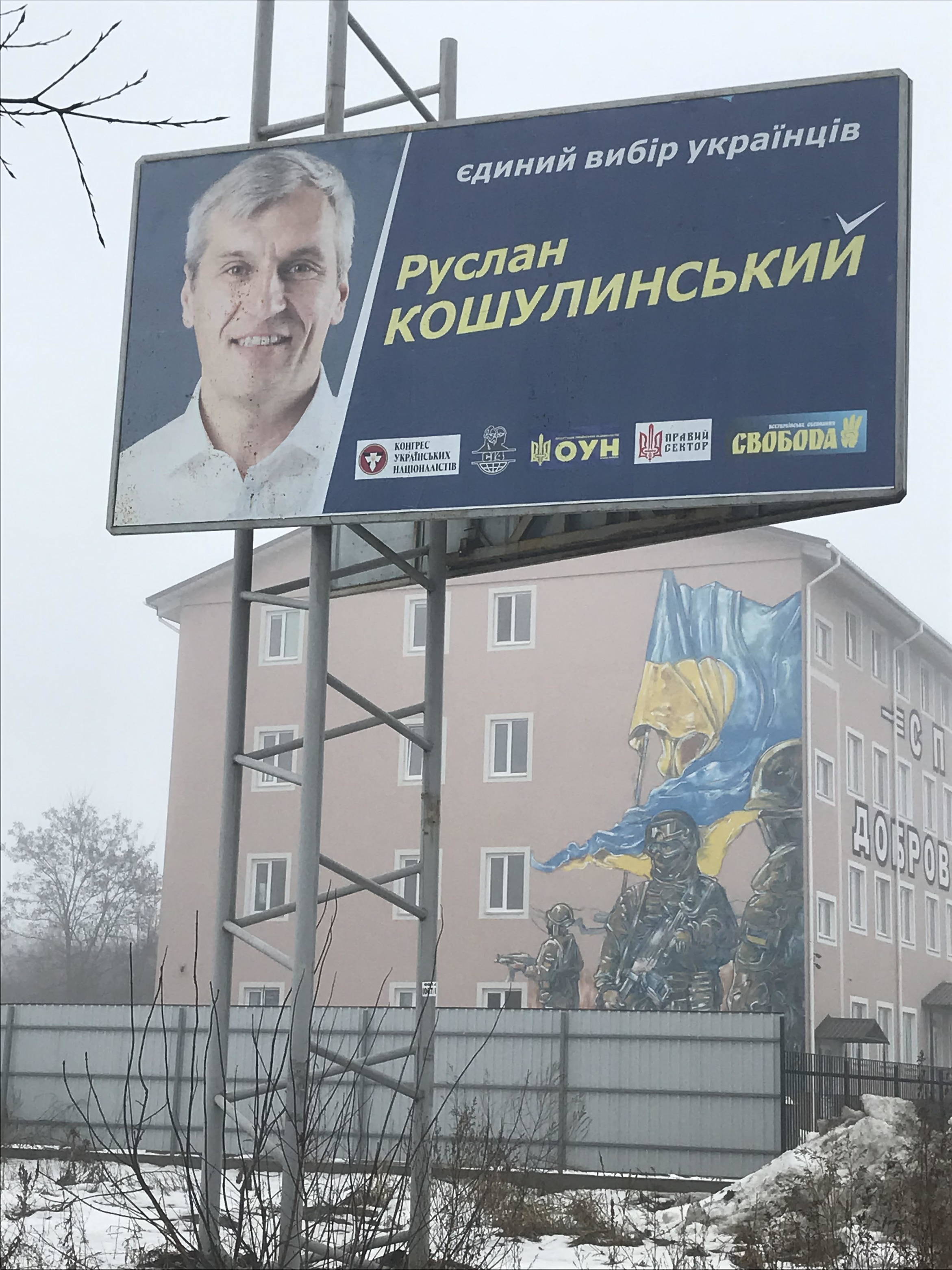 06 02 2019 bilbordy kandydativ bez vyhidnyh danyh Koshulynskiy Kyivska obl