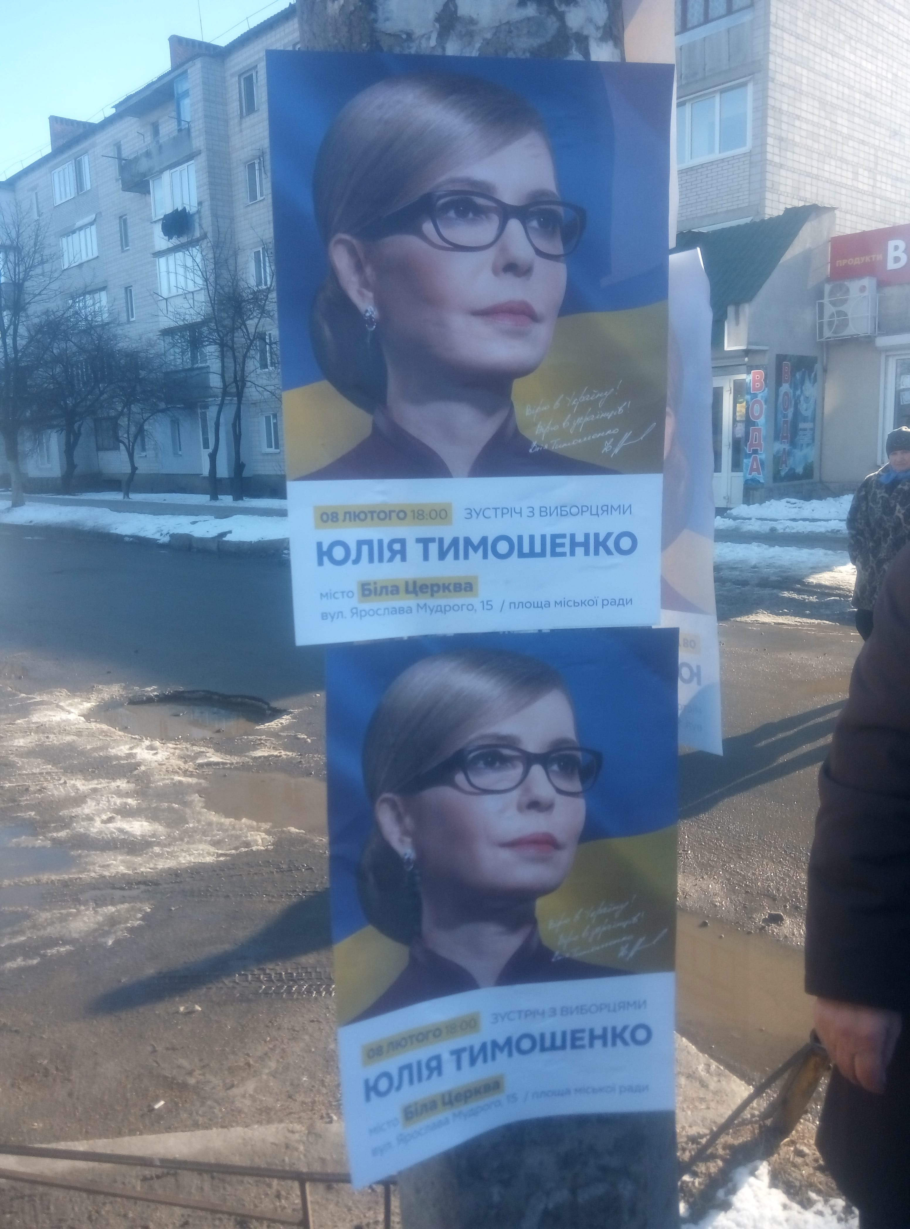 09 02 19 vizyt Tymoshenko BC plakaty Kyivska oblast min