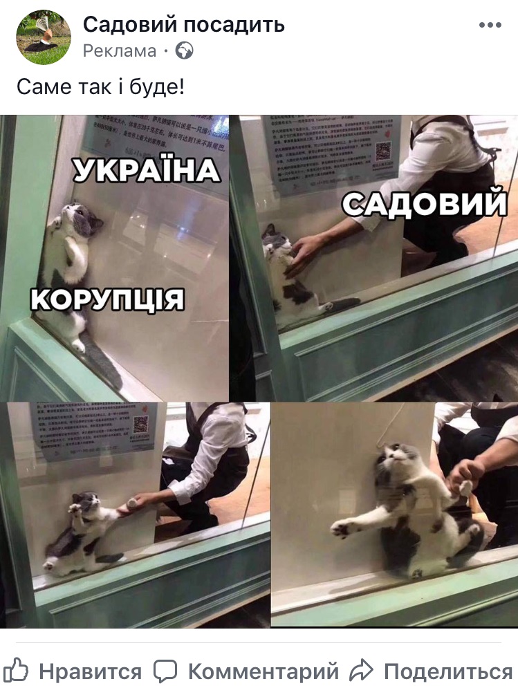 13 01 2018 Kyiv sadovyi kotyk4