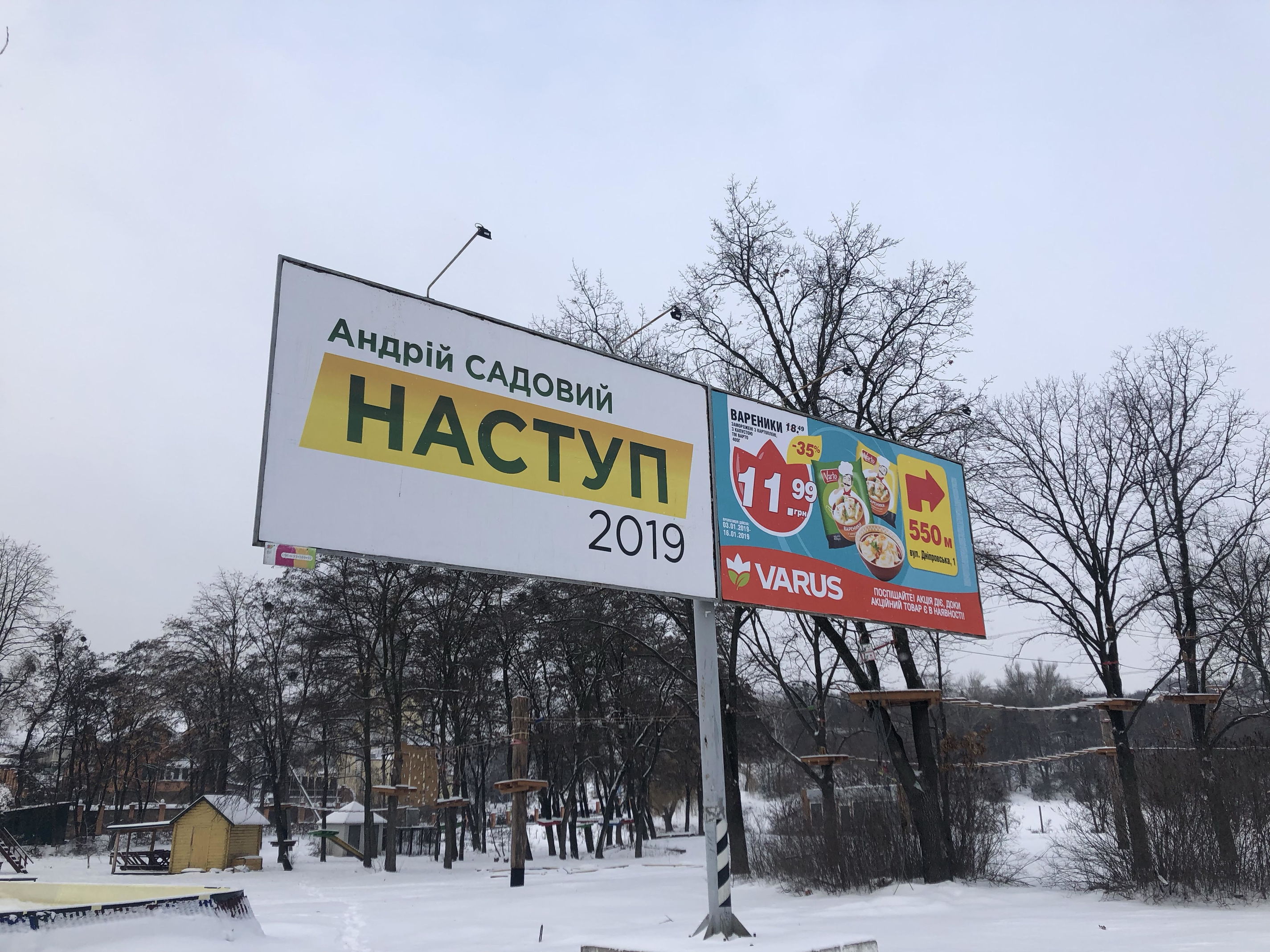 17 01 19 bordy Sadovuy Vyshgorod Kyivska