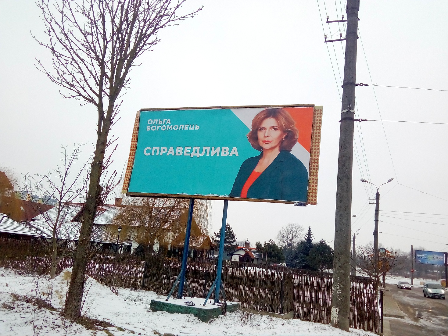 23.01.19.Prykarpattia Sposterigachi zvernulys do policiji pereviryty bilbordy Bogomolets ta Shevchenka Bogomolets