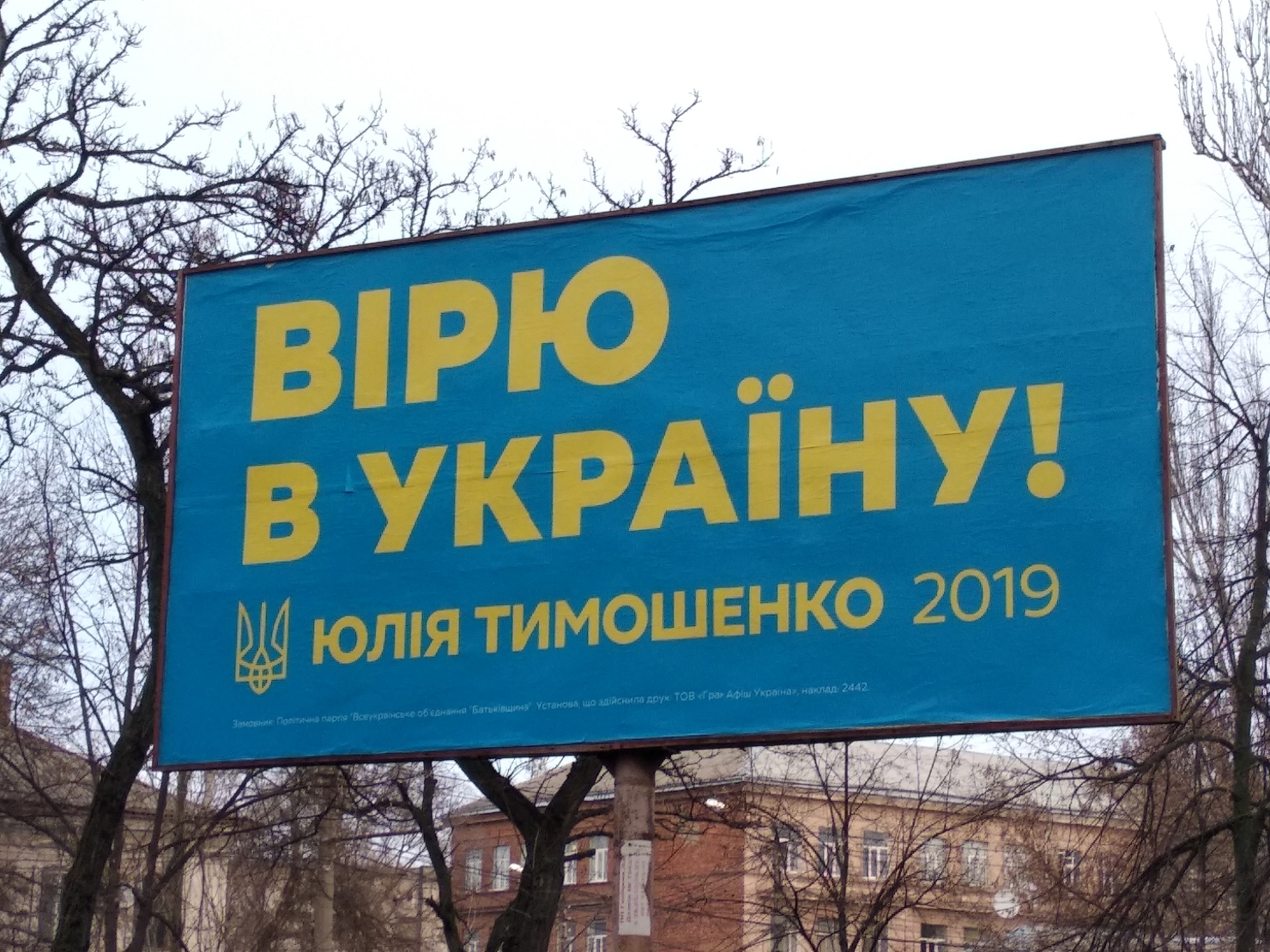 30 01 Bilbord Tymoshenko