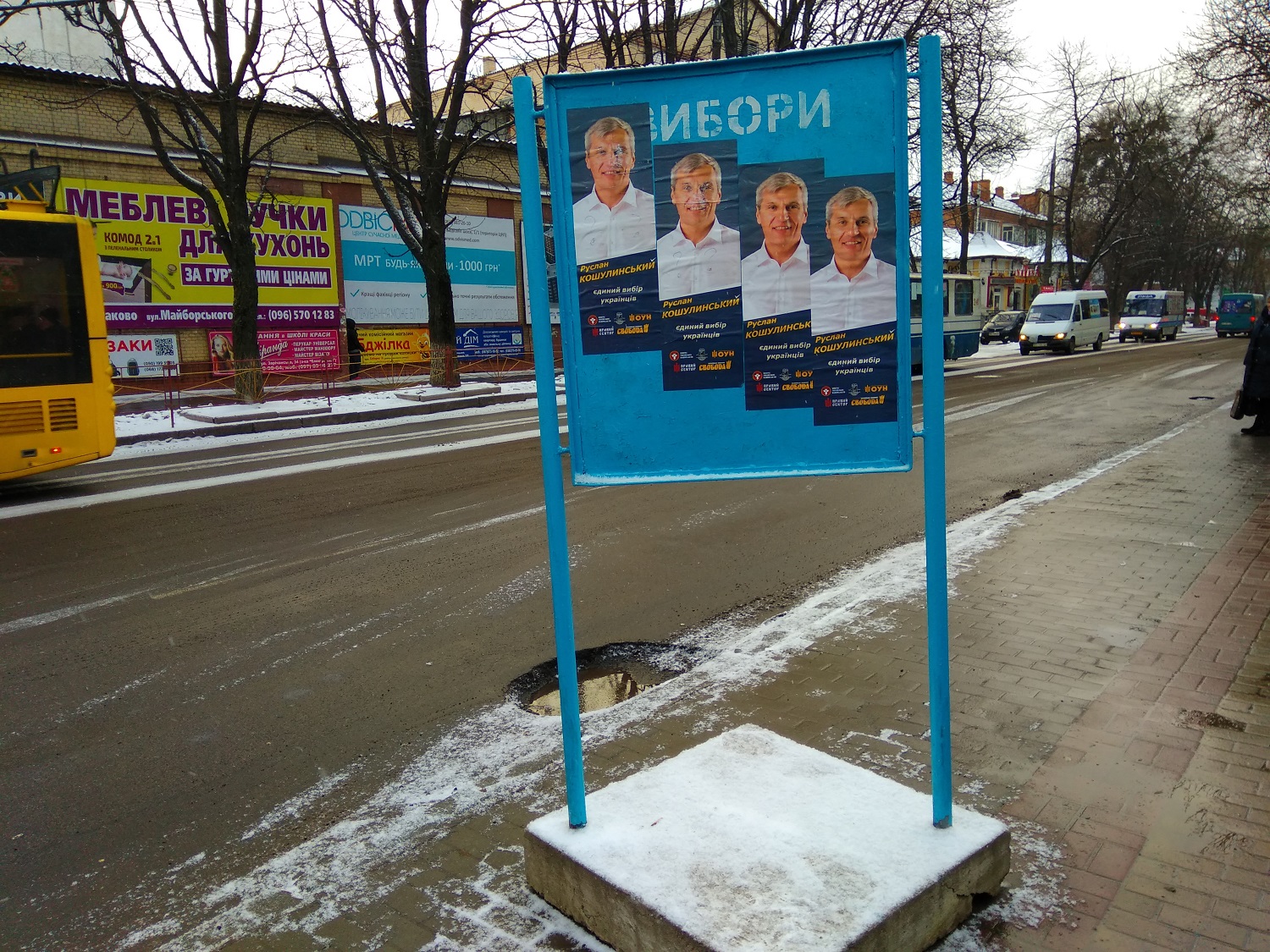 kamianetska 03 01 2019 Khmelnytskyi Koshulynskyi lystivky