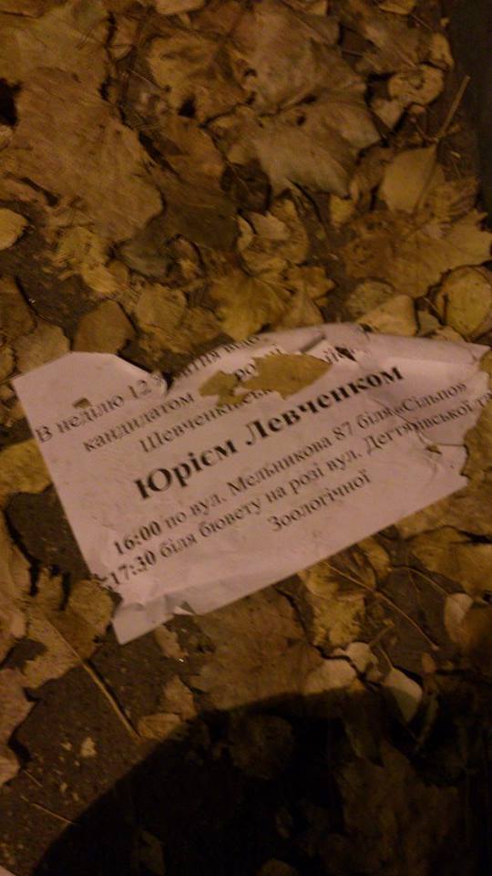 news 15 10 2014 Kiev Melnukova agitatsia foto5