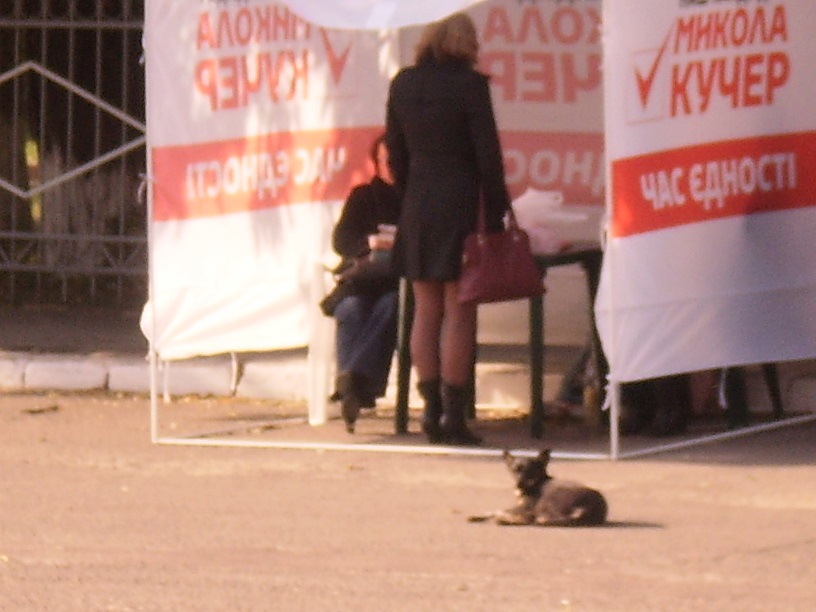 vinnitsa kucher2